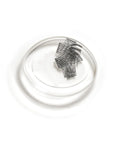 lashsense-lashes-refill-plumeria-4-ct