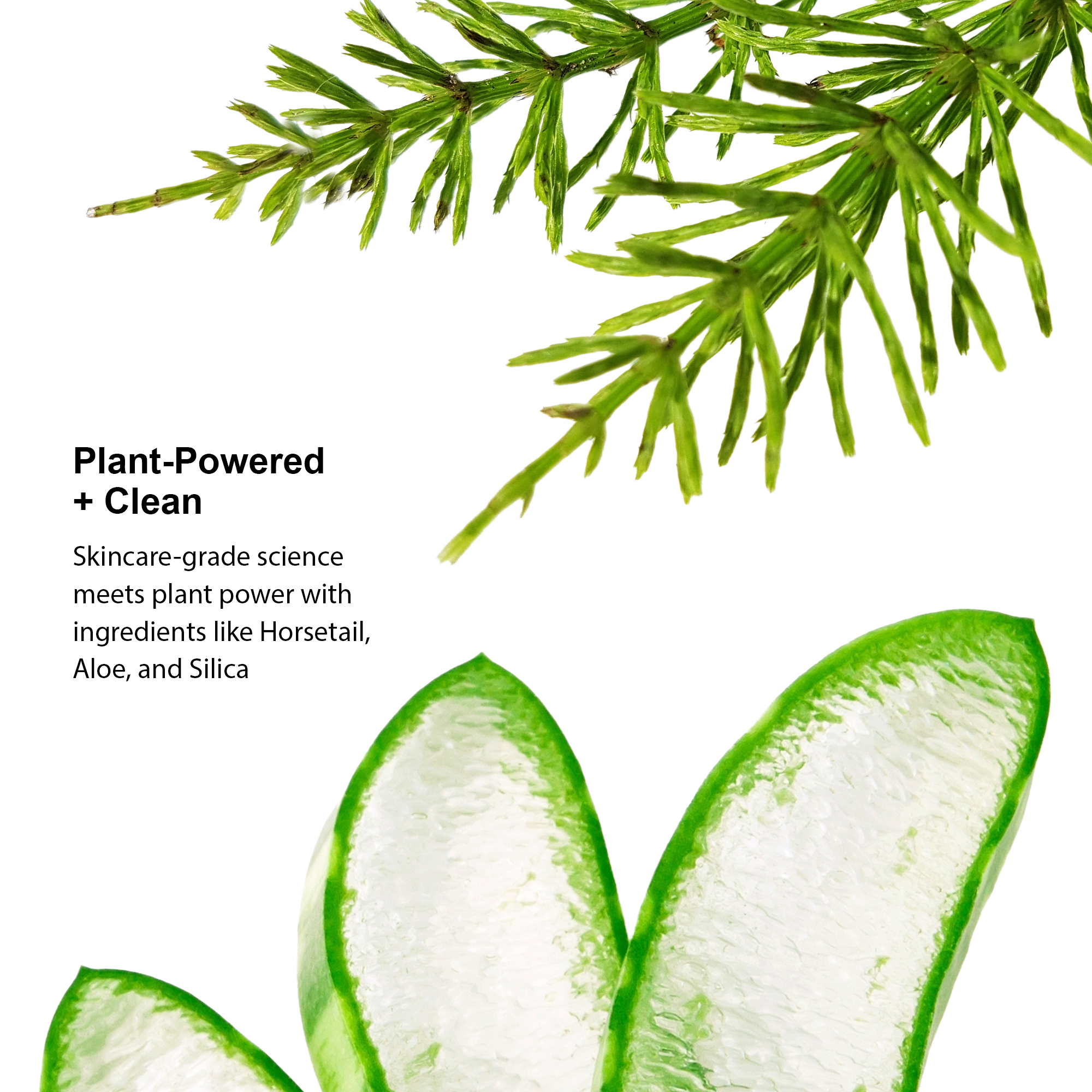 Aloe Nail Revive Treatment MX