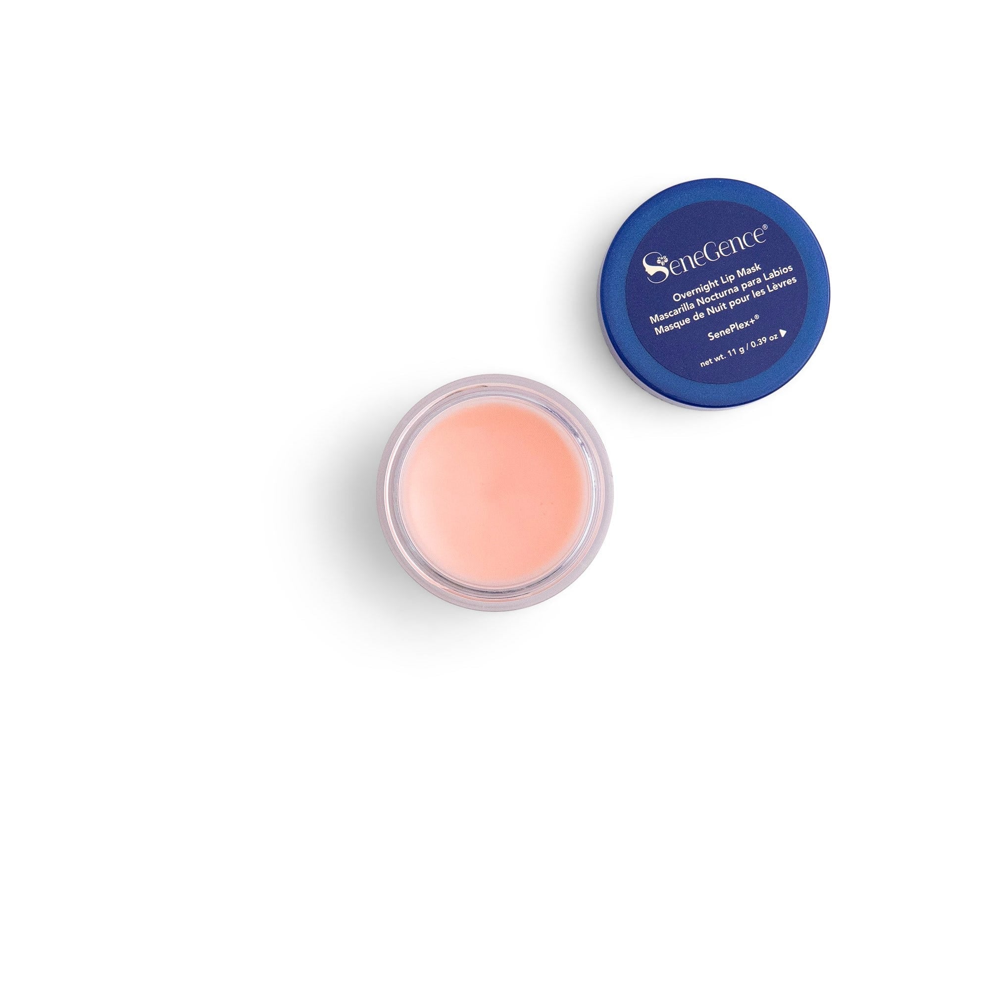 Overnight Lip Mask with Applicator