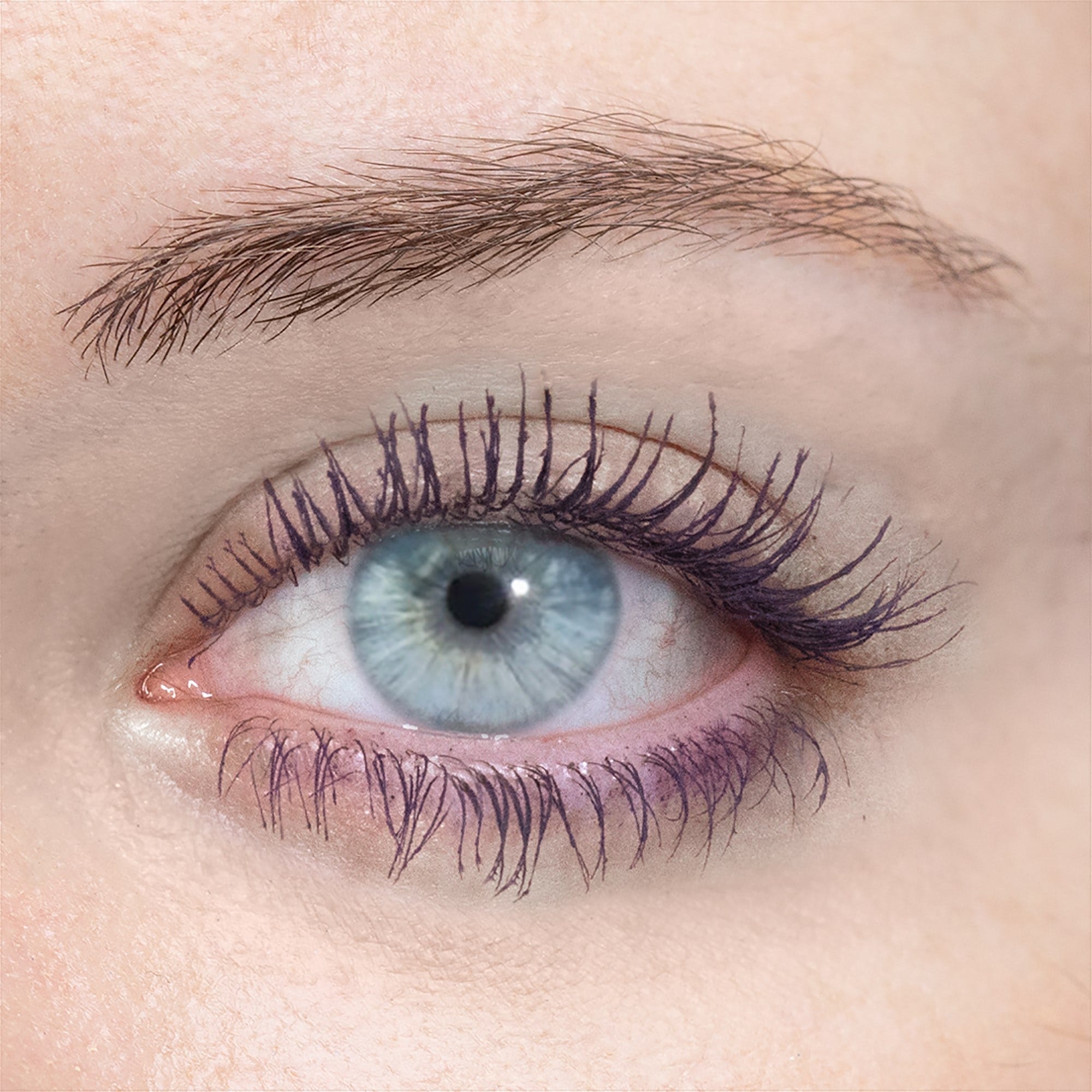 LashSense® VolumeIntense® Mascara - Regal Plum
