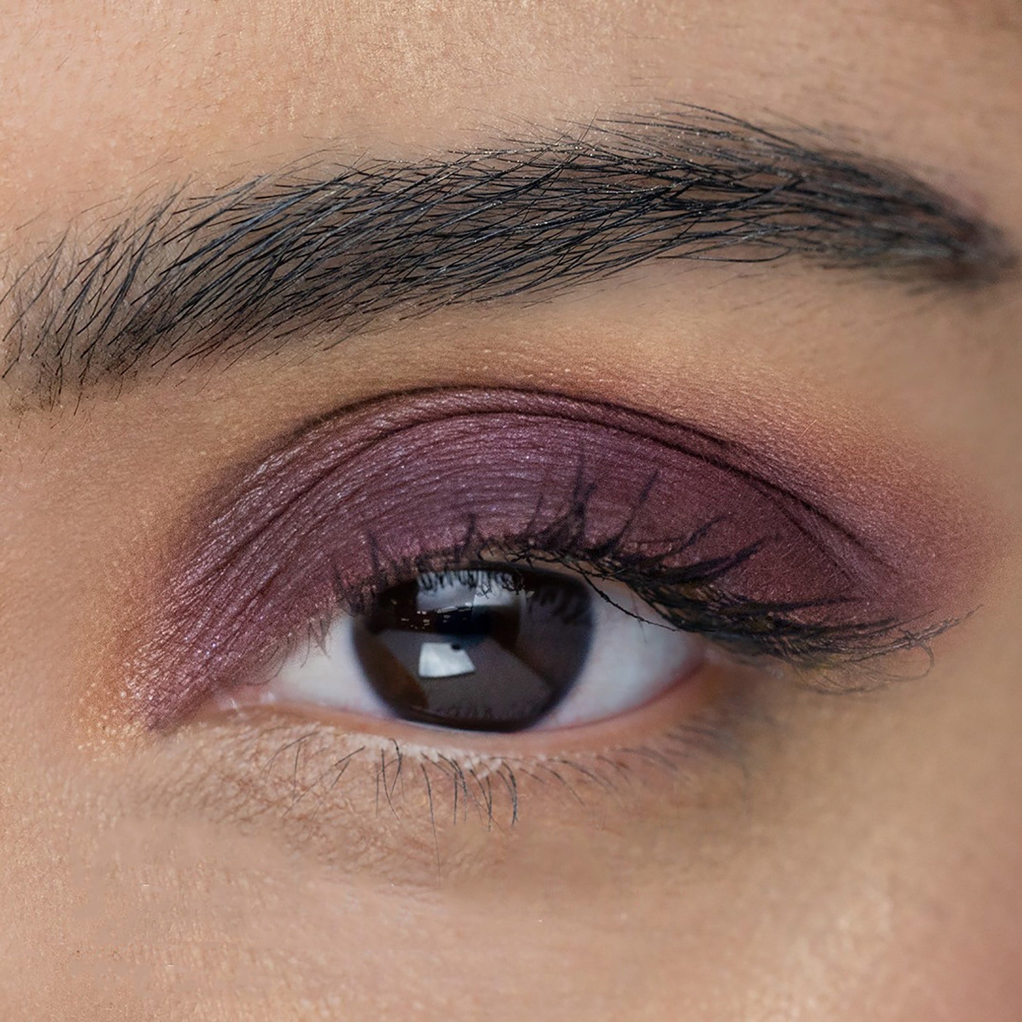 ShadowSense® Eyeshadow - French Roast