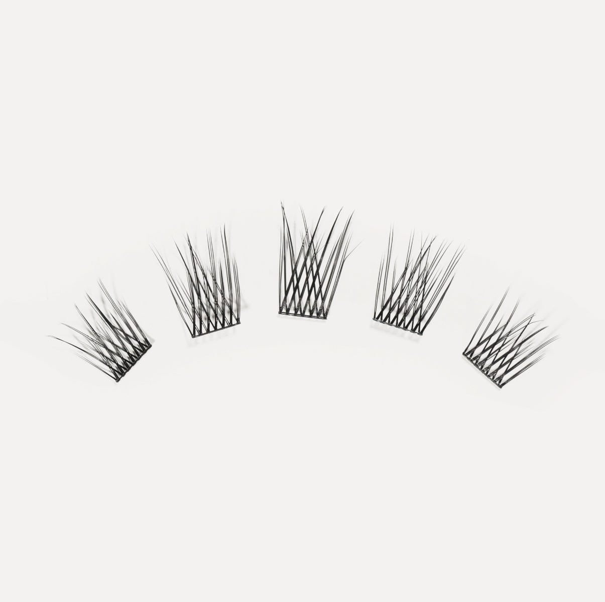 LashSense® Lashes Bloom Box