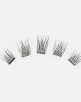 LashSense® Lashes Bloom Box