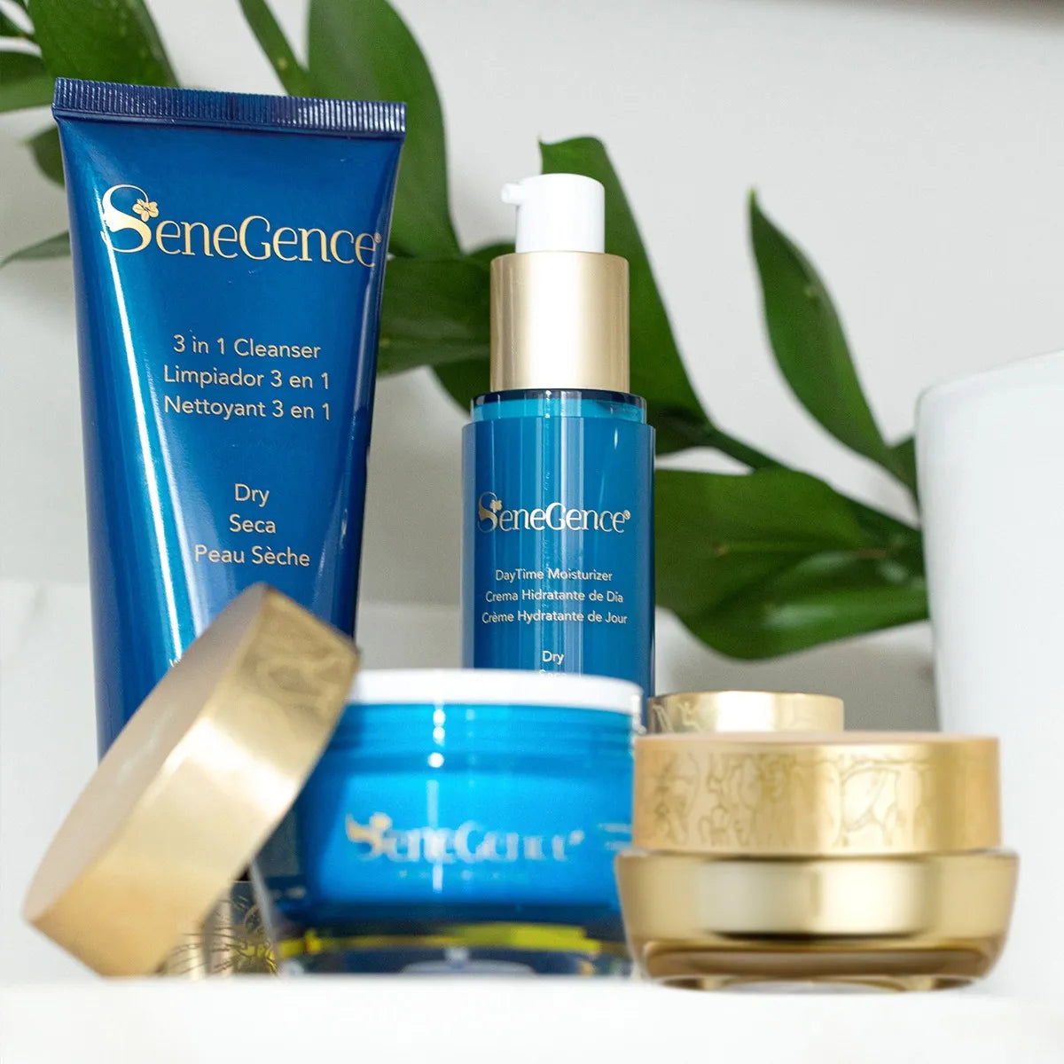 Dry SkinCare Regimen Set AU