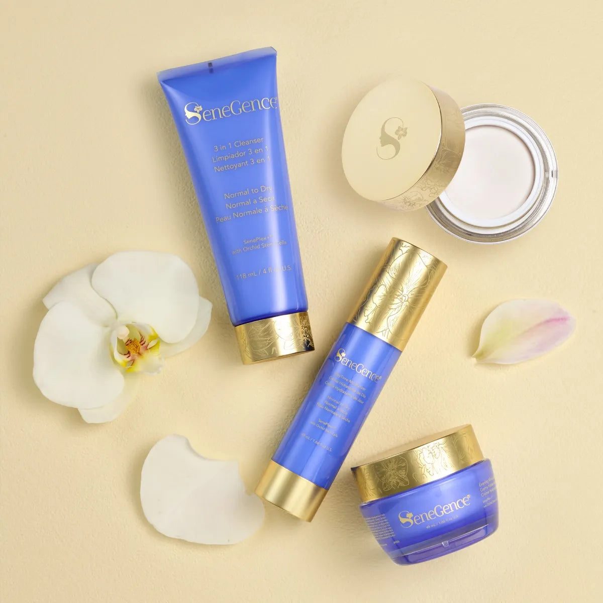 Normal-Dry SkinCare Regimen Set MX