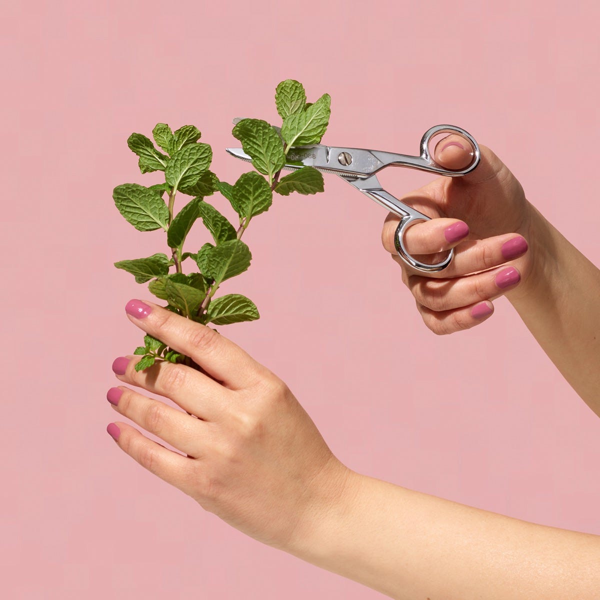 Nail Polish - Blushing Bouquet