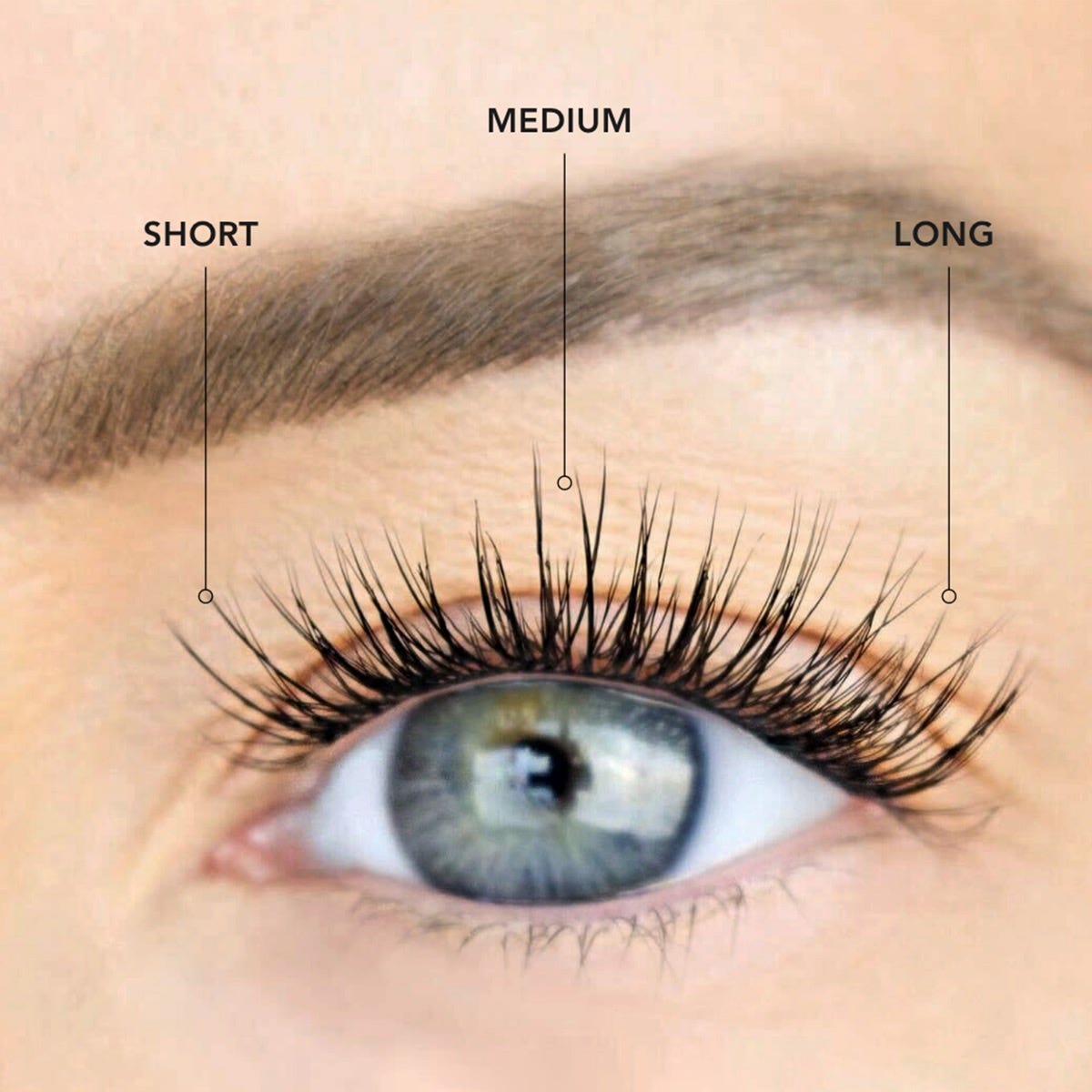 LashSense Lashes Refill - Plumeria (4 ct.) - Black - Short