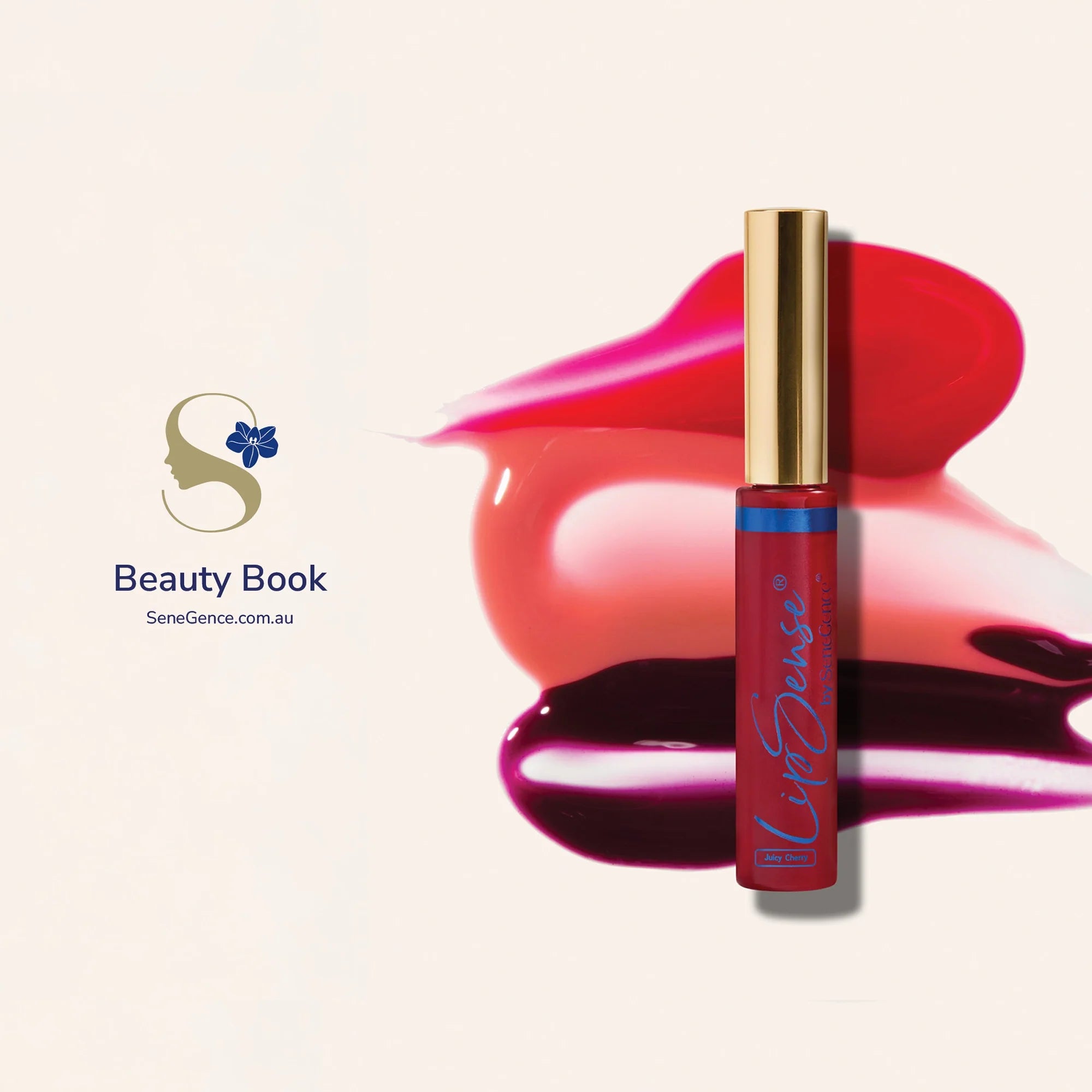 Beauty Book - 10 pack October 2025 Edition!