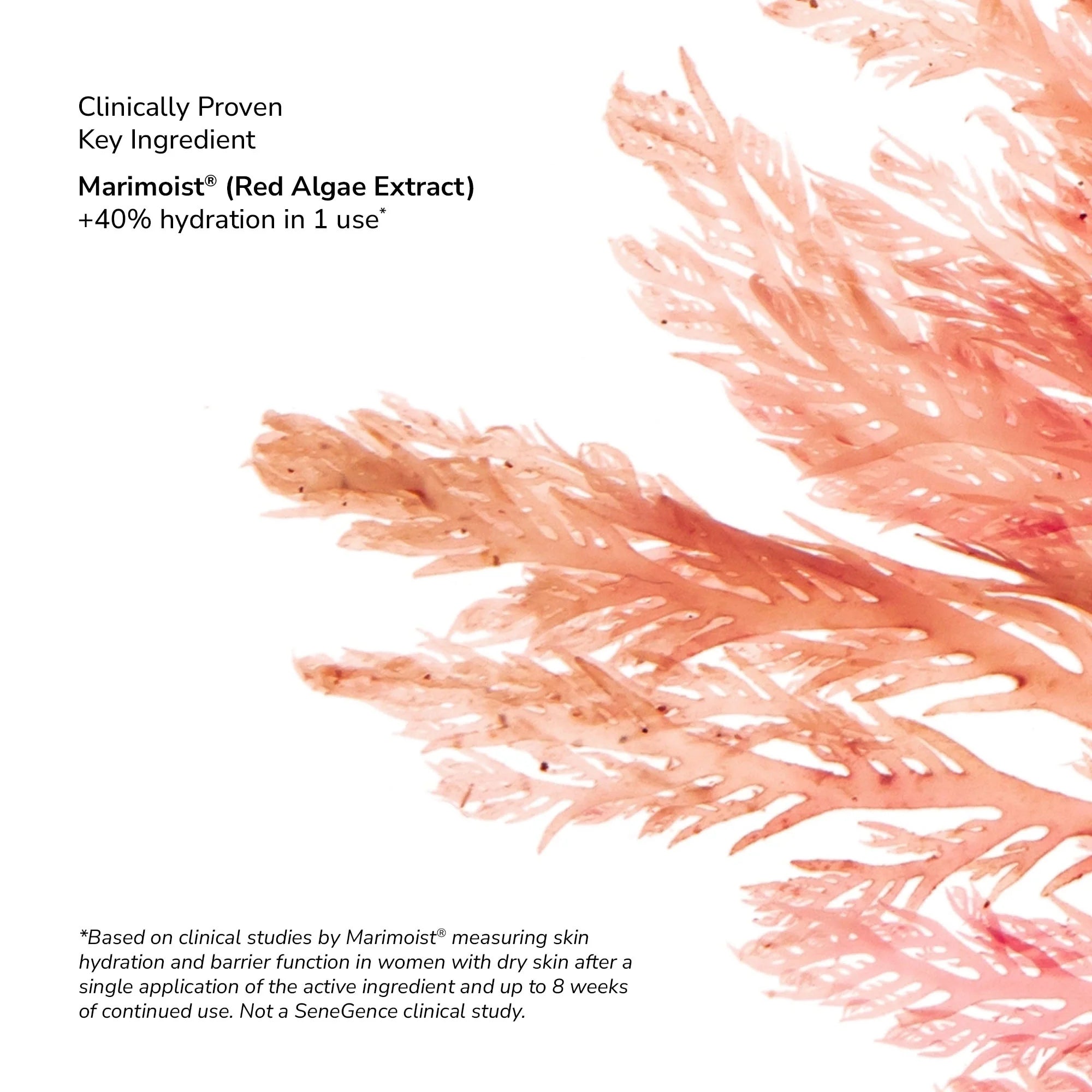 senecell-seneplex-stemcell-concentrate