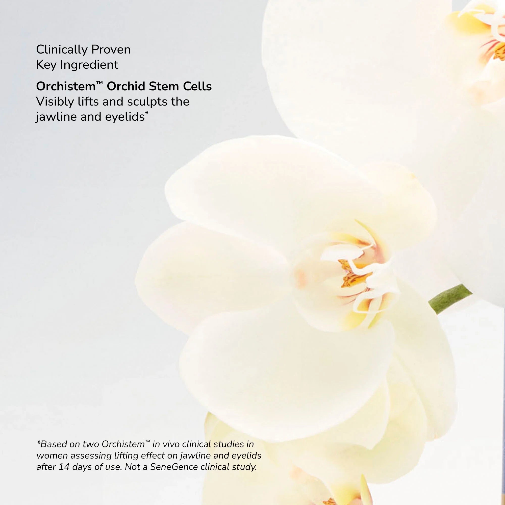 SeneCell™ SenePlex+® StemCell Concentrate NZL