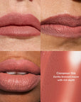 Quad panel lip swatches of Cinnamon Silk earthy bronzed mauve with rich depth