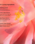 LipSense Lip Color Ingredients