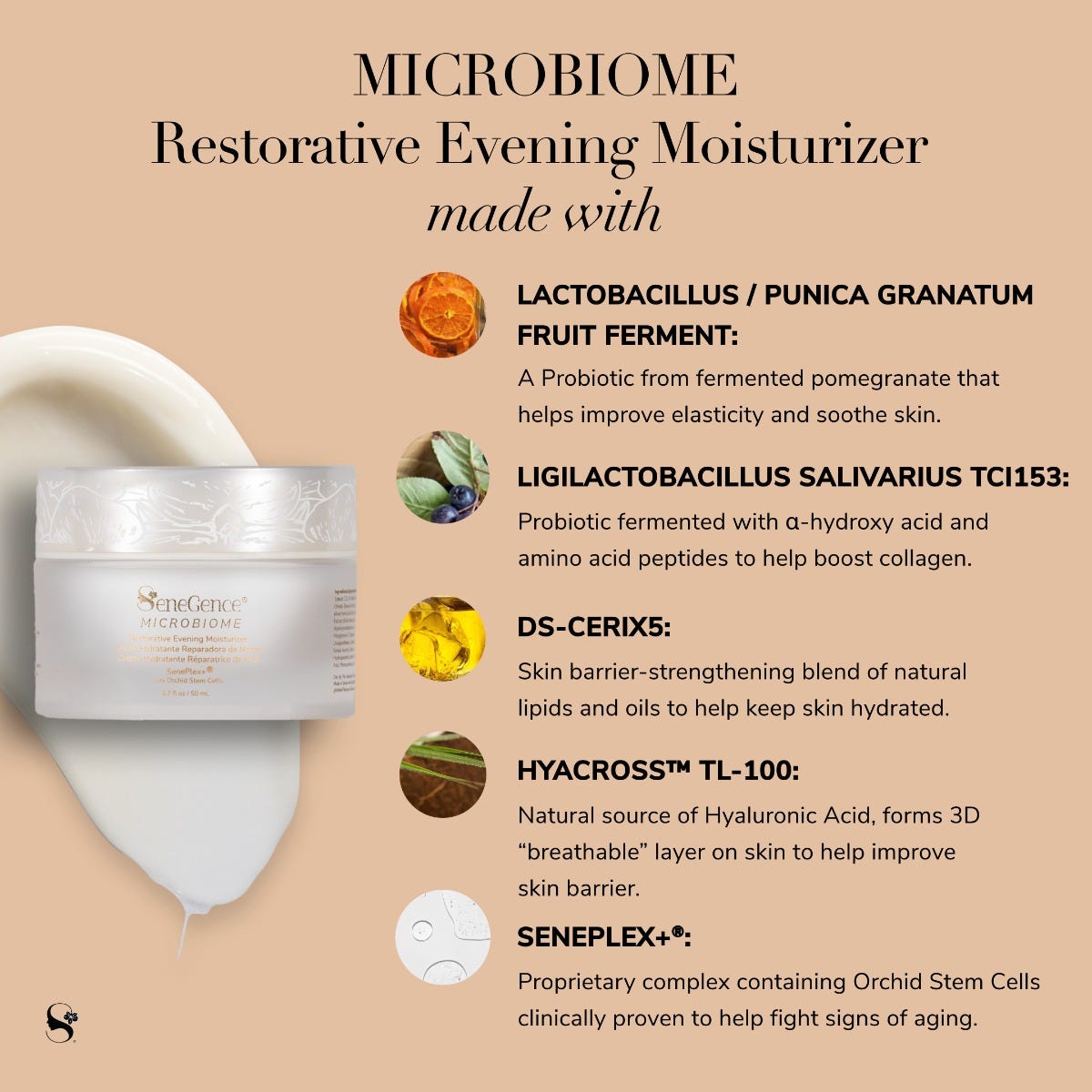 Microbiome Restorative Evening Moisturizer
